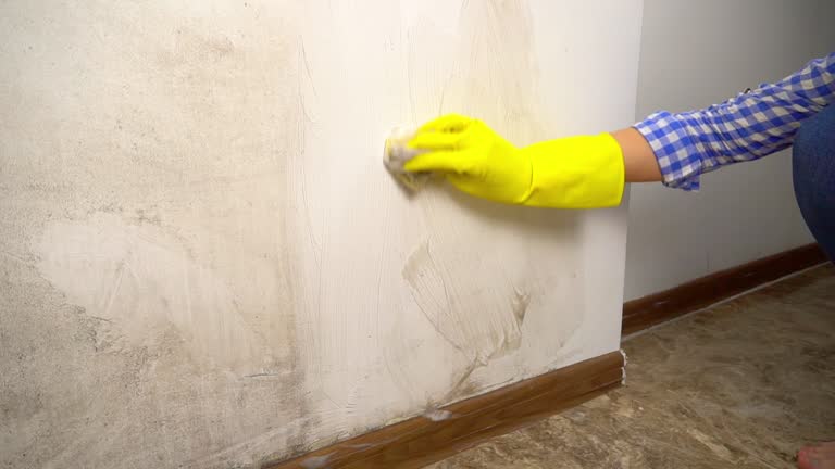 Best Environmental Consulting for Mold Prevention  in Wharton, NJ