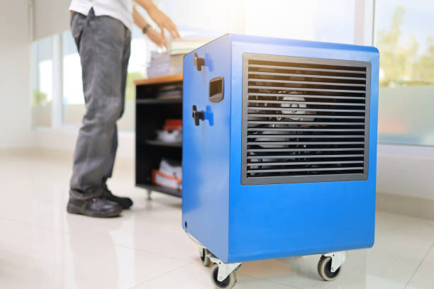 Best Indoor Air Quality Assessment  in Wharton, NJ