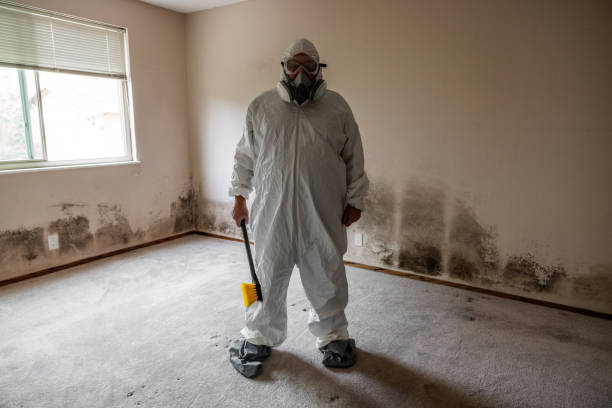 Best Environmental Consulting for Mold Prevention  in Wharton, NJ