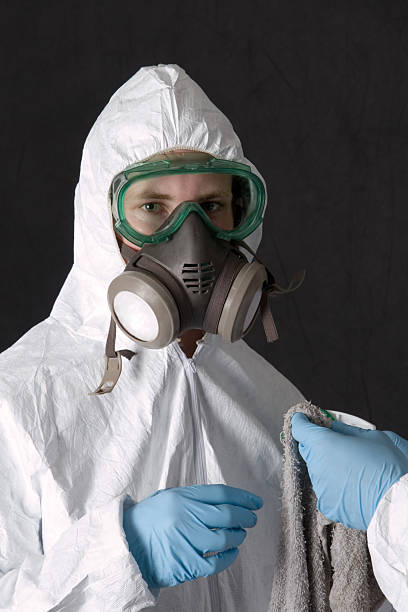 Best Mold-Related Health Consultation  in Wharton, NJ