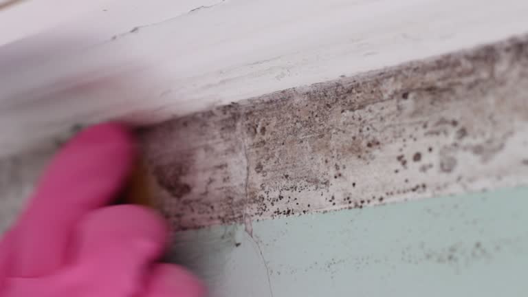 Best Airborne Mold Testing  in Wharton, NJ